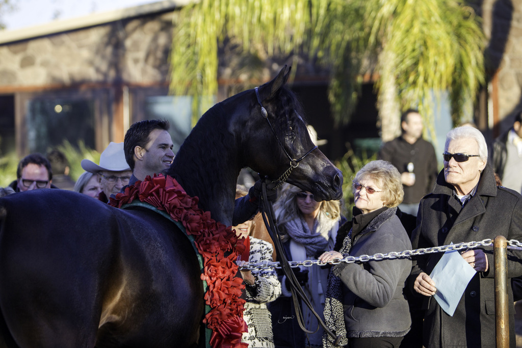 Arabian International - 8th Annual Farm Tour 