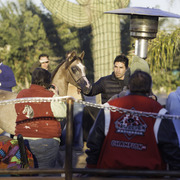 Arabian International - 8th Annual Farm Tour 