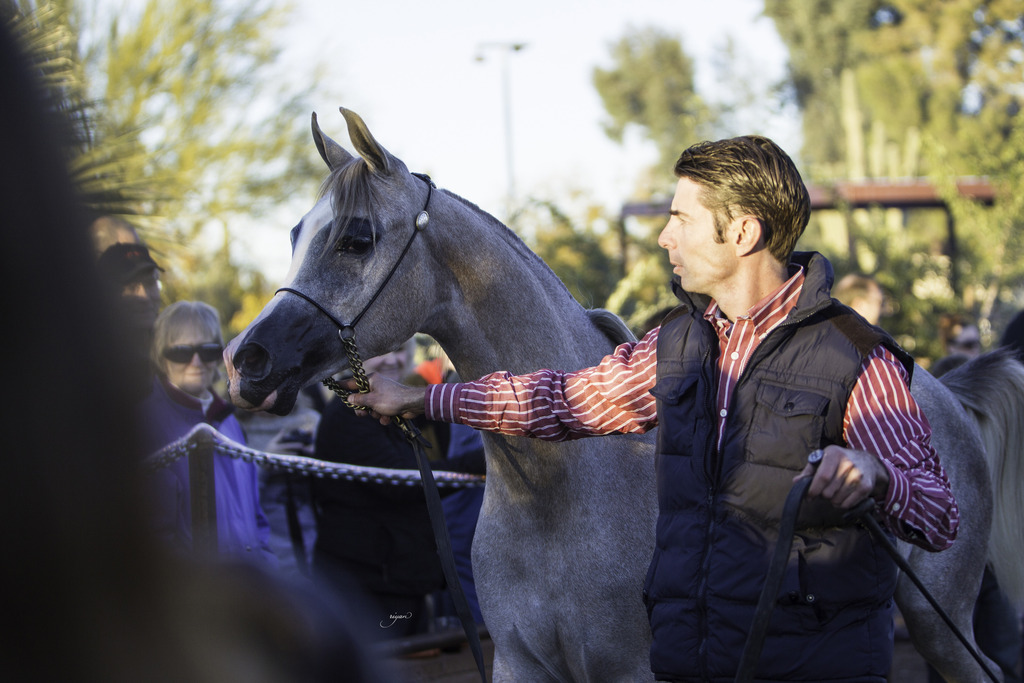 Arabian International - 8th Annual Farm Tour 