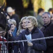 Arabian International - 8th Annual Farm Tour 