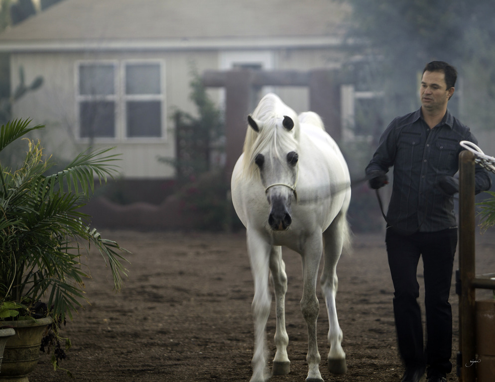 Arabian International - 8th Annual Farm Tour 