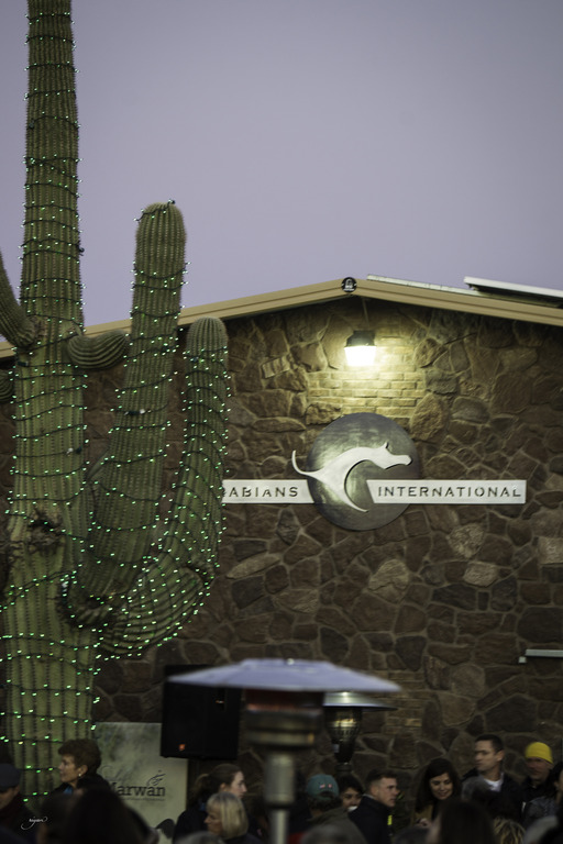 Arabian International - 8th Annual Farm Tour 