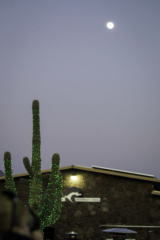 Arabian International - 8th Annual Farm Tour 