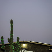 Arabian International - 8th Annual Farm Tour 