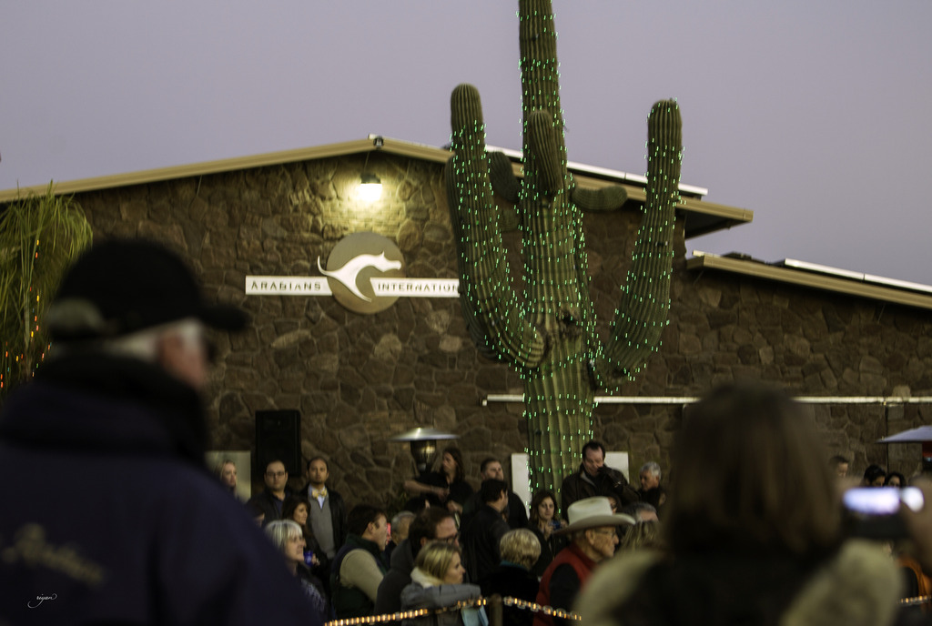 Arabian International - 8th Annual Farm Tour 