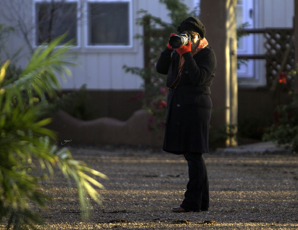 Arabian International - 8th Annual Farm Tour 