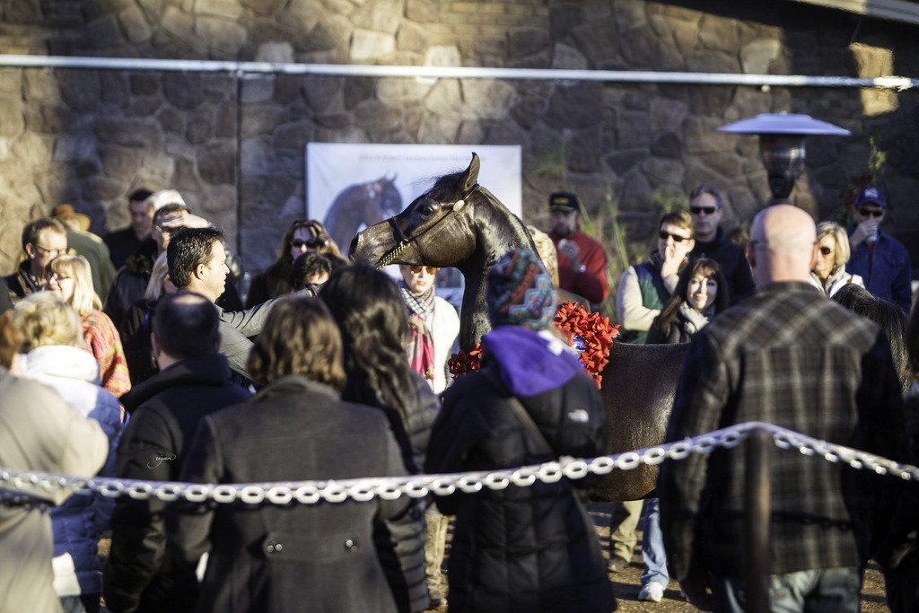 Arabian International - 8th Annual Farm Tour 