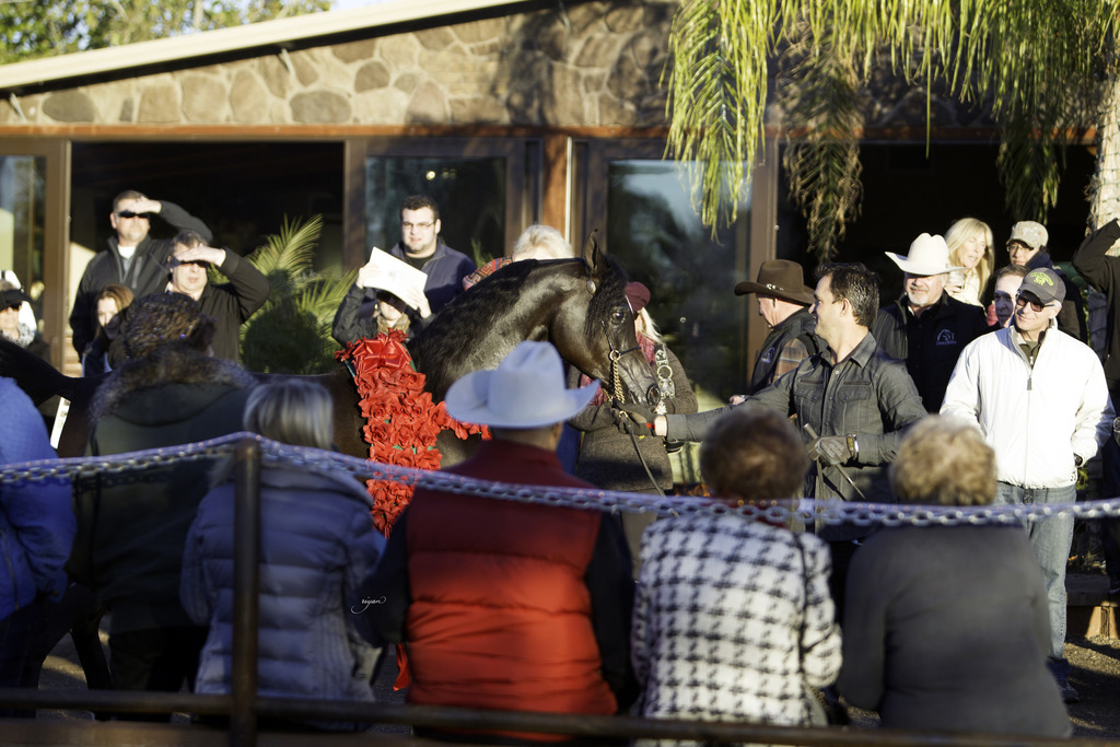 Arabian International - 8th Annual Farm Tour 