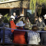 Arabian International - 8th Annual Farm Tour 