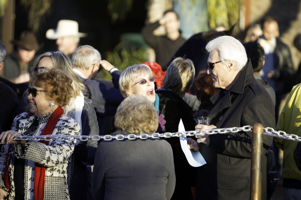 Arabian International - 8th Annual Farm Tour 