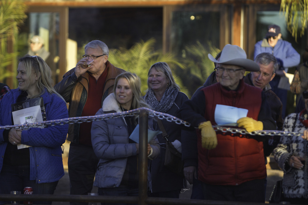 Arabian International - 8th Annual Farm Tour 