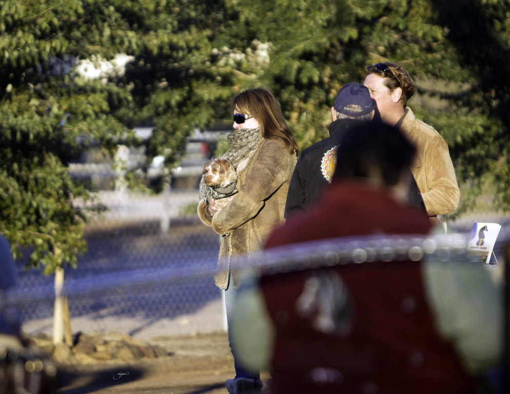 Arabian International - 8th Annual Farm Tour 