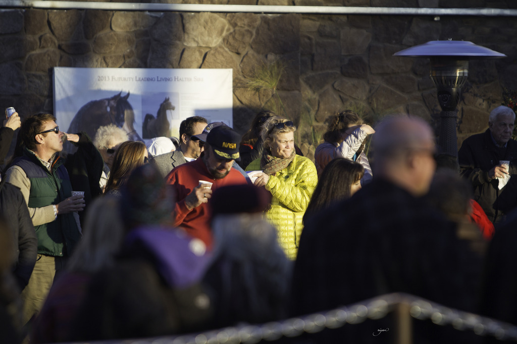 Arabian International - 8th Annual Farm Tour 