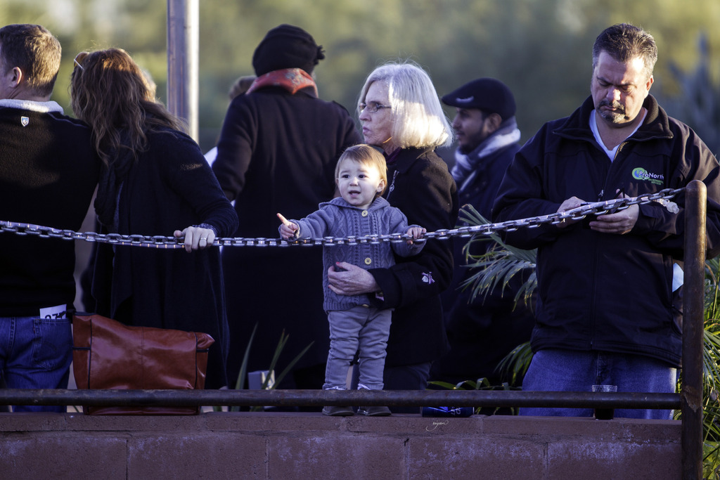 Arabian International - 8th Annual Farm Tour 