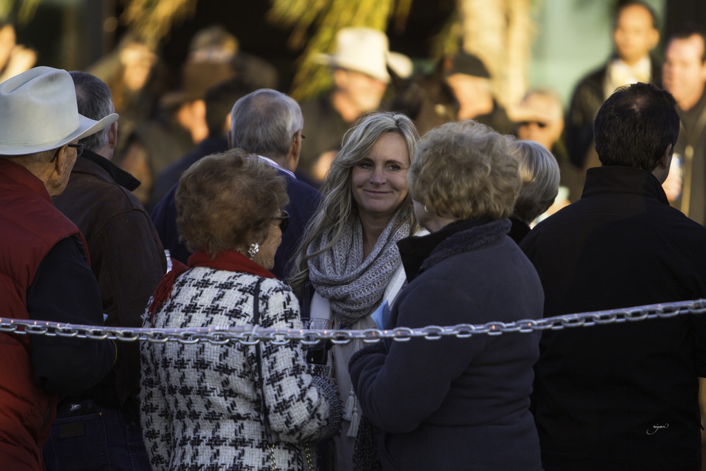 Arabian International - 8th Annual Farm Tour 