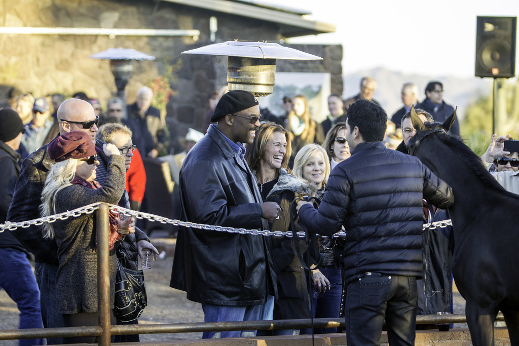 Arabian International - 8th Annual Farm Tour 