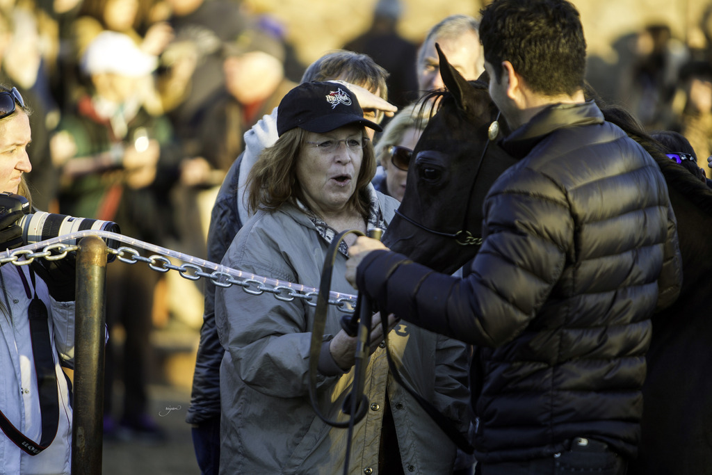 Arabian International - 8th Annual Farm Tour 