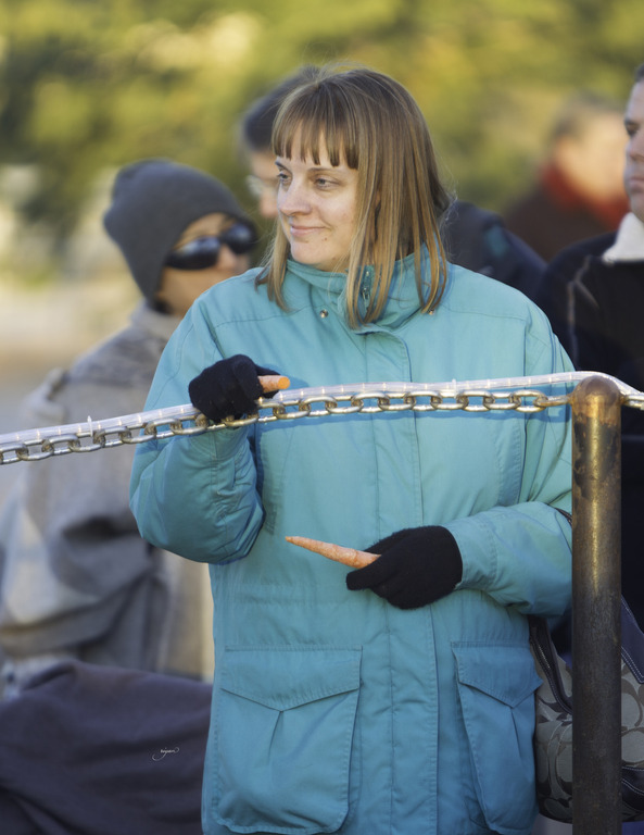 Arabian International - 8th Annual Farm Tour 