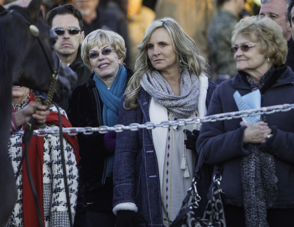 Arabian International - 8th Annual Farm Tour 