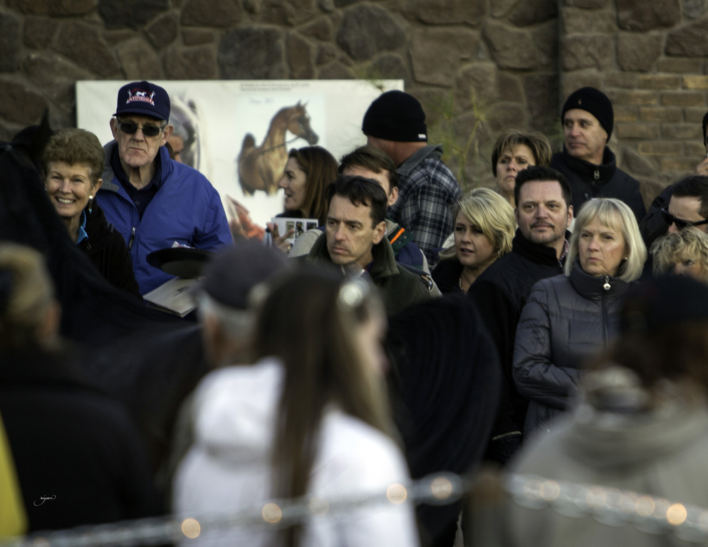 Arabian International - 8th Annual Farm Tour 