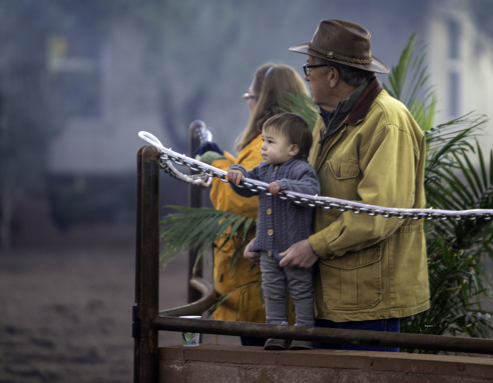 Arabian International - 8th Annual Farm Tour 