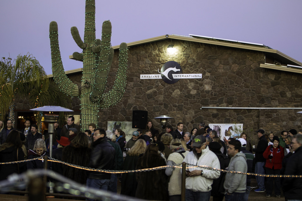 Arabian International - 8th Annual Farm Tour 