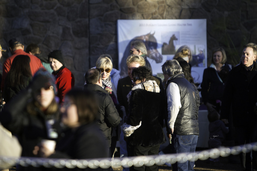 Arabian International - 8th Annual Farm Tour 