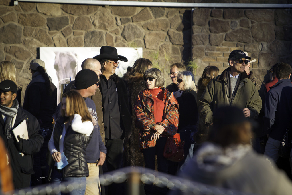 Arabian International - 8th Annual Farm Tour 