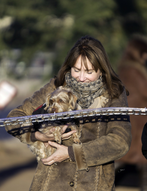 Arabian International - 8th Annual Farm Tour 