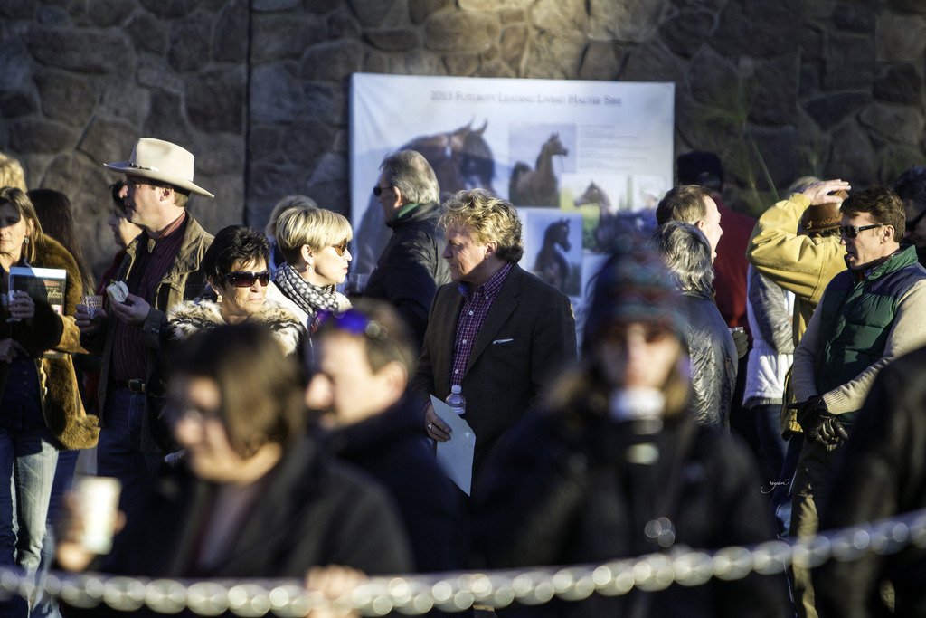 Arabian International - 8th Annual Farm Tour 