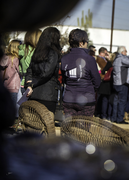 Culbreth Equine - 8th Annual Farm Tour