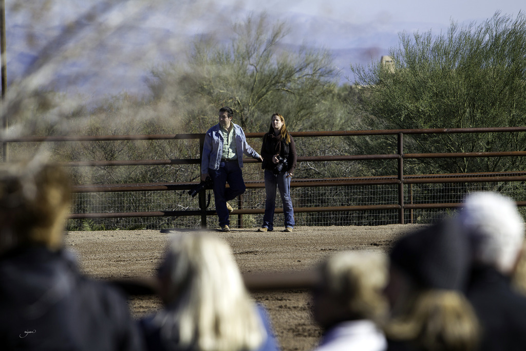 Culbreth Equine - 8th Annual Farm Tour
