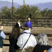 Culbreth Equine - 8th Annual Farm Tour