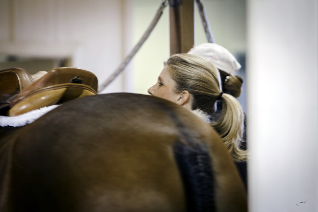 Culbreth Equine - 8th Annual Farm Tour