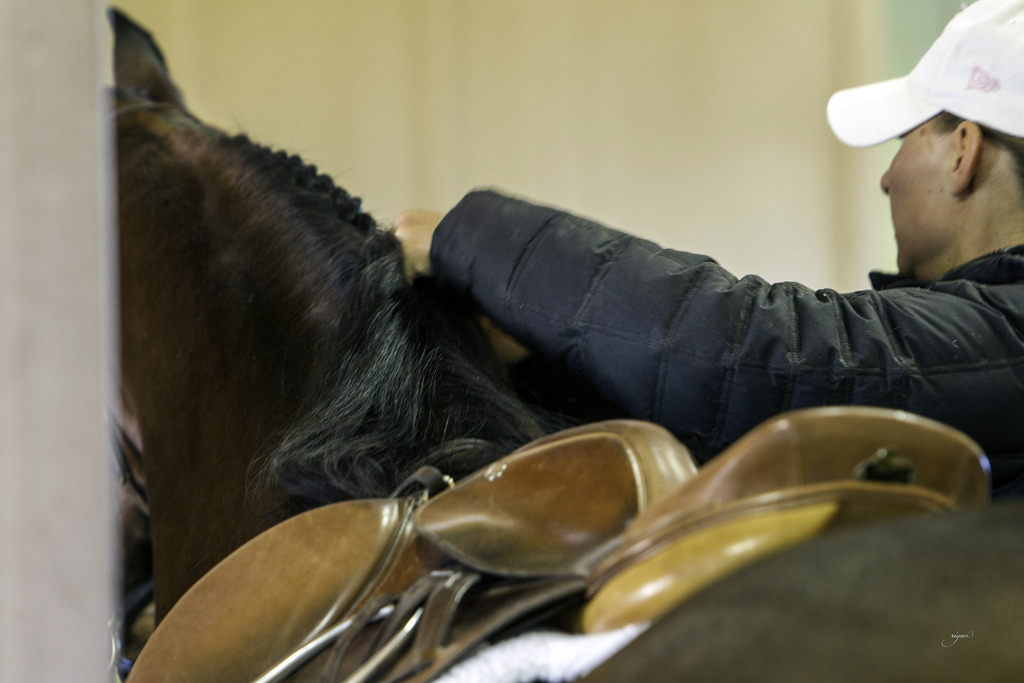 Culbreth Equine - 8th Annual Farm Tour