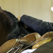 Culbreth Equine - 8th Annual Farm Tour