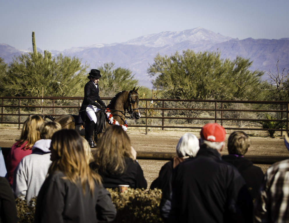Culbreth Equine - 8th Annual Farm Tour