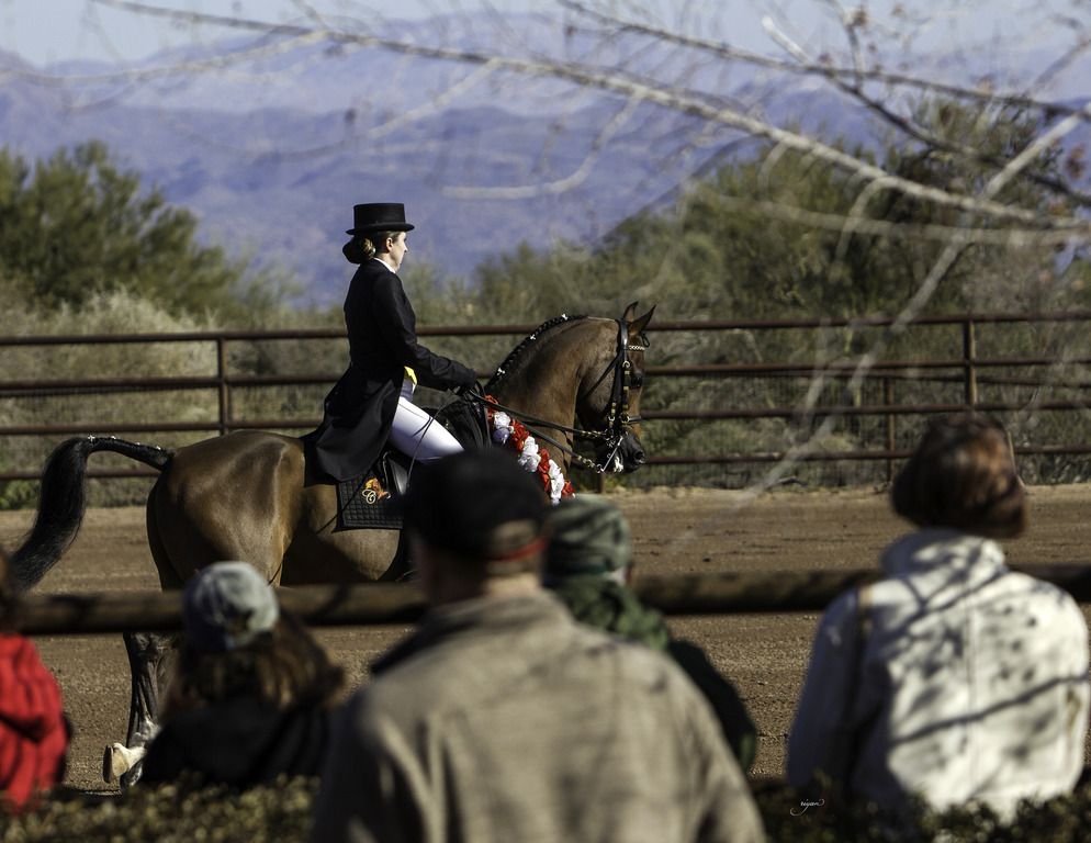 Culbreth Equine - 8th Annual Farm Tour