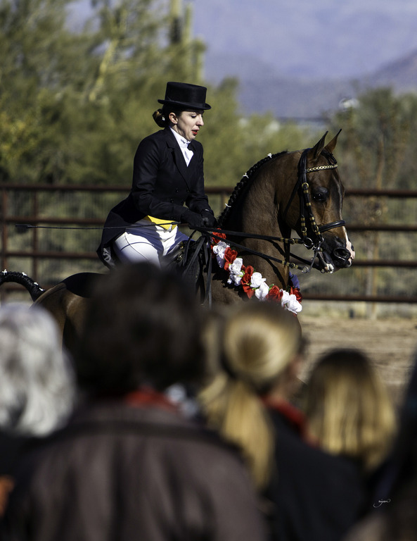 Culbreth Equine - 8th Annual Farm Tour