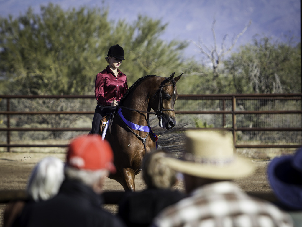 Culbreth Equine - 8th Annual Farm Tour
