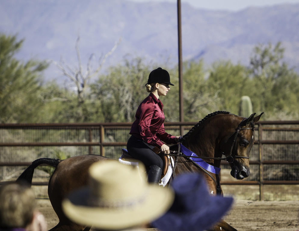 Culbreth Equine - 8th Annual Farm Tour