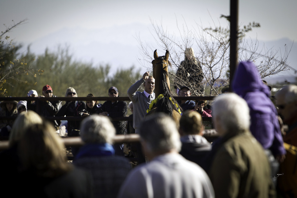 Culbreth Equine - 8th Annual Farm Tour