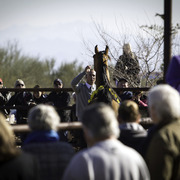 Culbreth Equine - 8th Annual Farm Tour