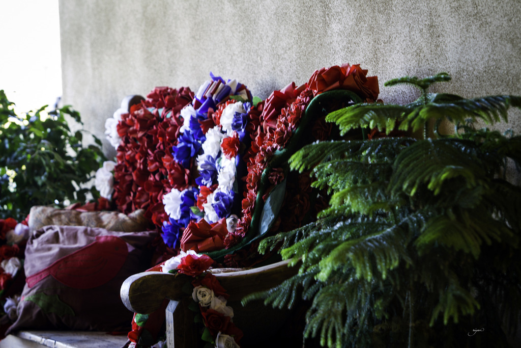 Culbreth Equine - 8th Annual Farm Tour