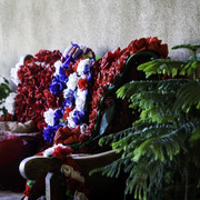 Culbreth Equine - 8th Annual Farm Tour