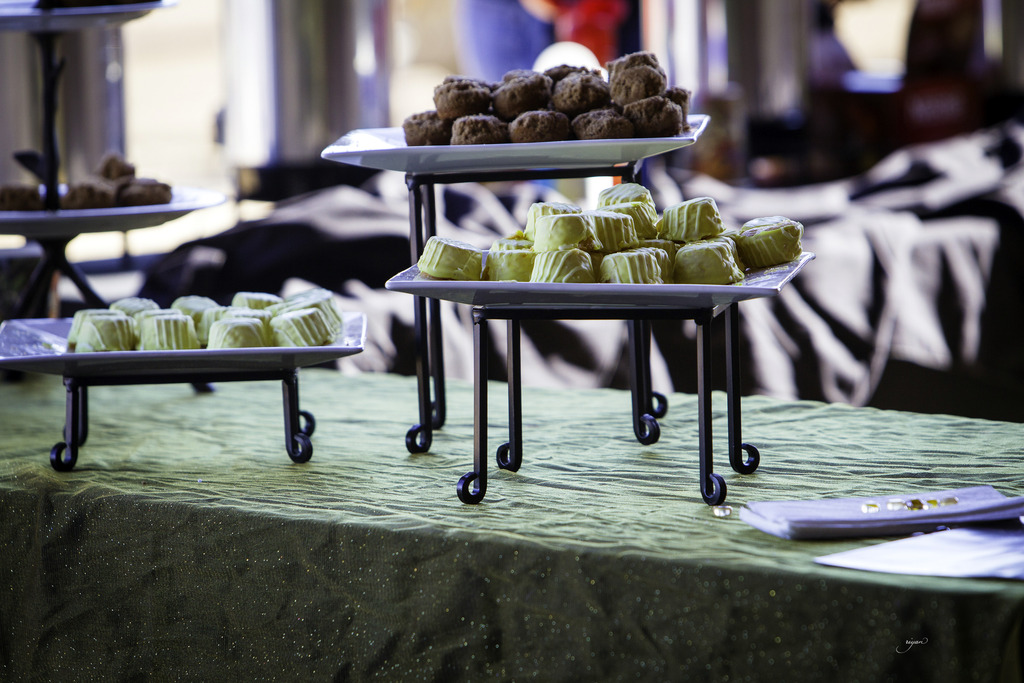 Culbreth Equine - 8th Annual Farm Tour