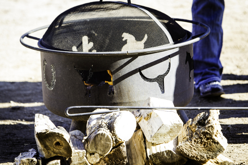 Culbreth Equine - 8th Annual Farm Tour