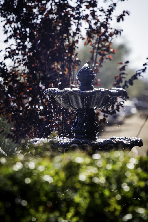 Culbreth Equine - 8th Annual Farm Tour