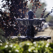 Culbreth Equine - 8th Annual Farm Tour