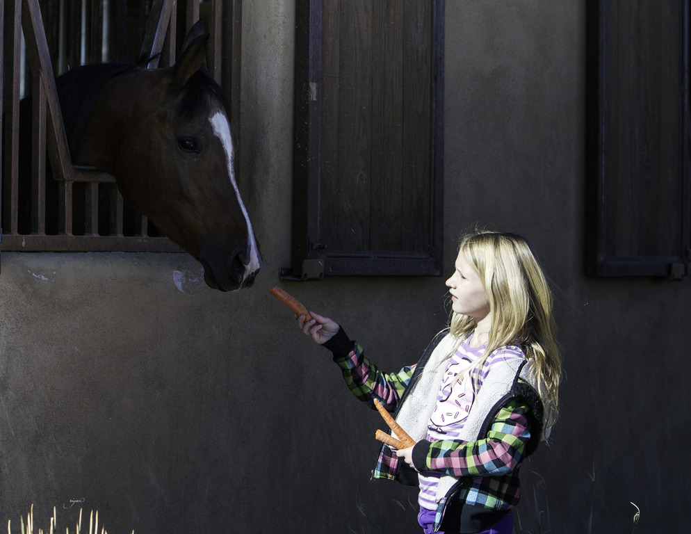 Culbreth Equine - 8th Annual Farm Tour